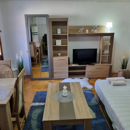 Family Apartmani Le Лесковац Номер фото